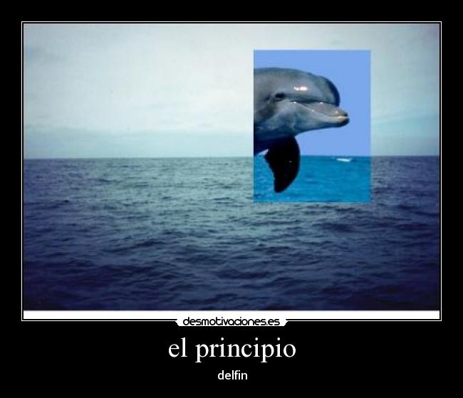 el principio - 
