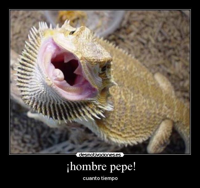 ¡hombre pepe! -