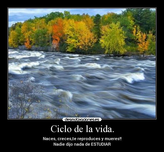 Ciclo de la vida. - Naces, creces,te reproduces y mueres!!
Nadie dijo nada de ESTUDIAR