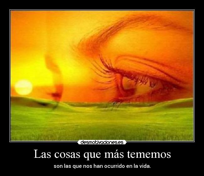 carteles las cosas desmotivaciones