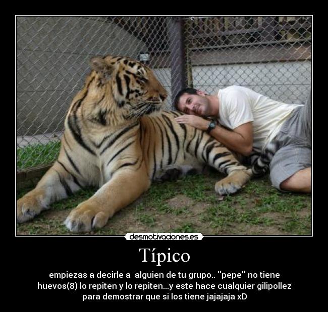 Típico - empiezas a decirle a alguien de tu grupo.. pepe no tiene
huevos(8) lo repiten y lo repiten...y este hace cualquier gilipollez
para demostrar que si los tiene jajajaja xD