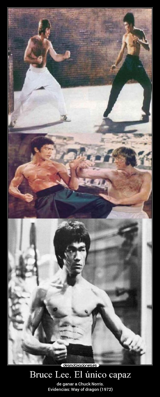 carteles bruce lee desmotivaciones