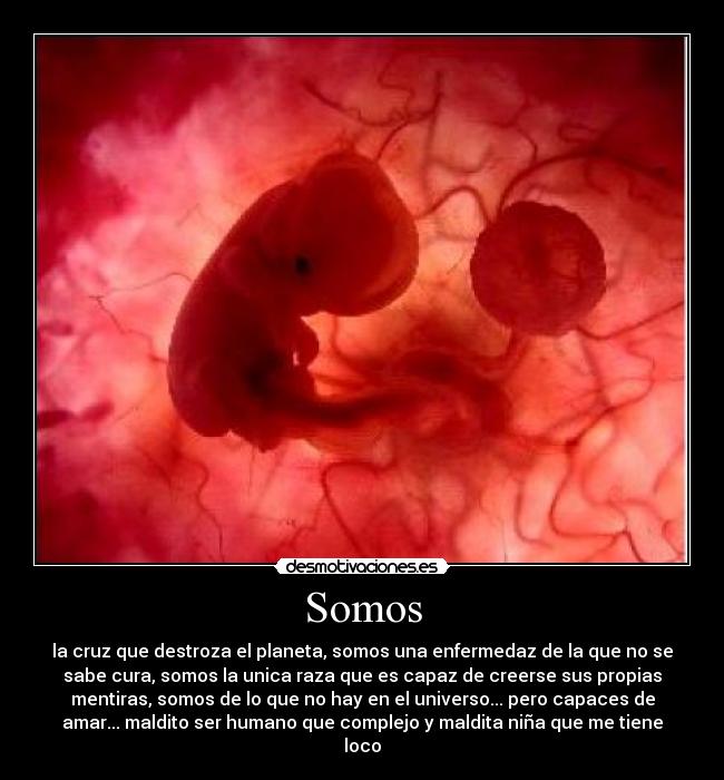 Somos -