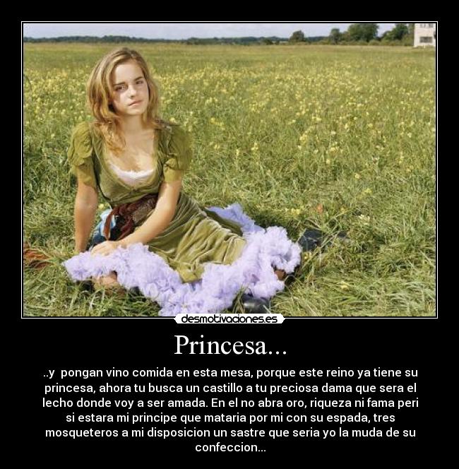 Princesa... - ..y  pongan vino comida en esta mesa, porque este reino ya tiene su
princesa, ahora tu busca un castillo a tu preciosa dama que sera el
lecho donde voy a ser amada. En el no abra oro, riqueza ni fama peri
si estara mi principe que mataria por mi con su espada, tres
mosqueteros a mi disposicion un sastre que seria yo la muda de su
confeccion...