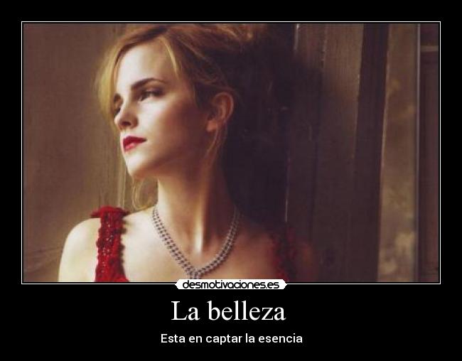 La belleza  - Esta en captar la esencia