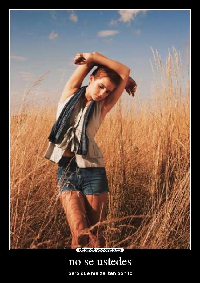 no se ustedes - pero que maizal tan bonito