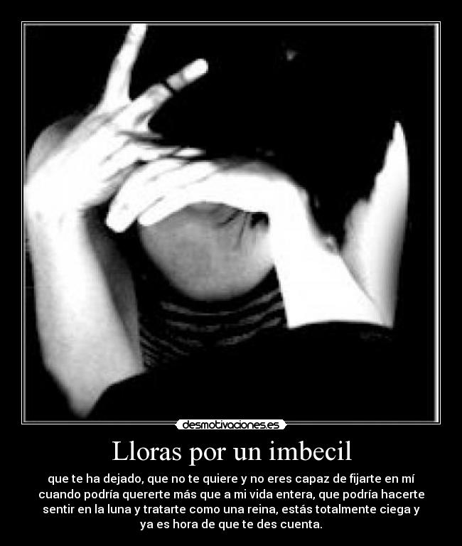 Lloras por un imbecil -