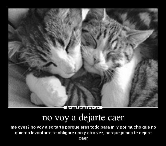 no voy a dejarte caer -