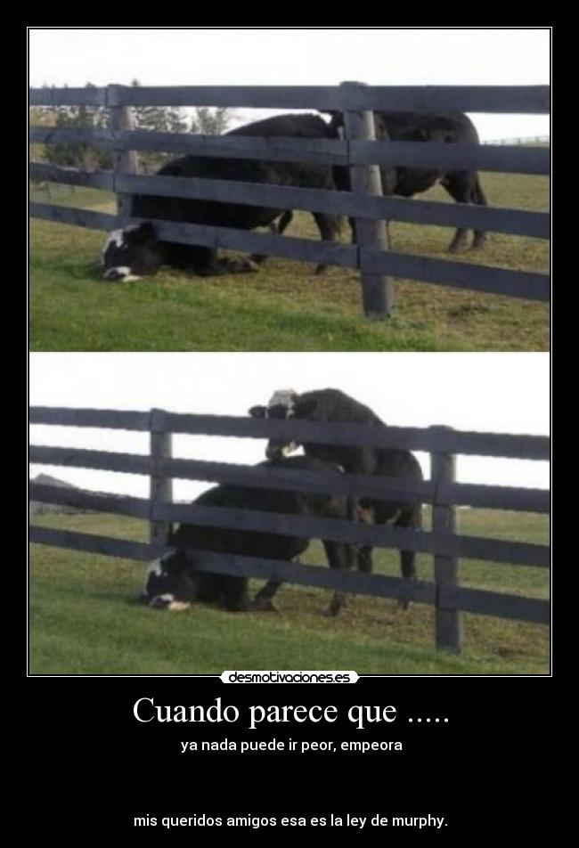 Cuando parece que ..... - 