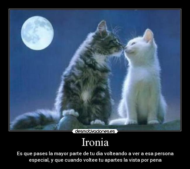 Ironia - Es que pases la mayor parte de tu dia volteando a ver a esa persona
especial, y que cuando voltee tu apartes la vista por pena
