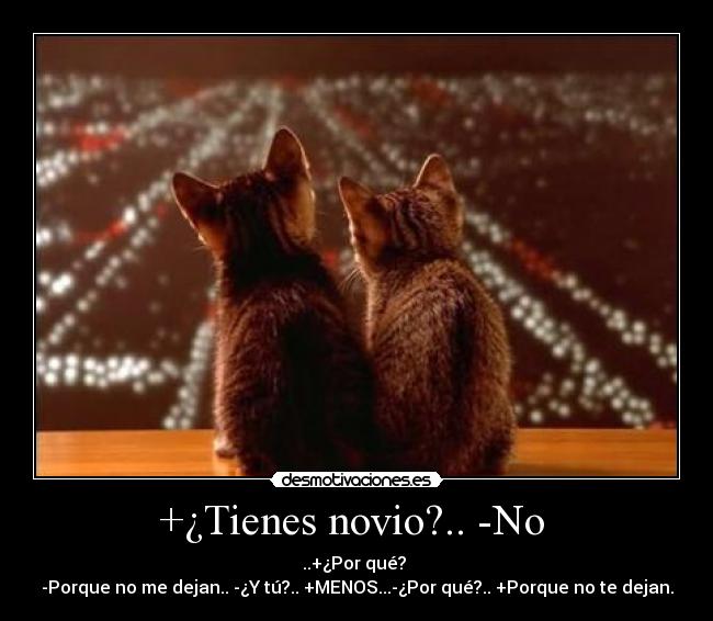 +¿Tienes novio?.. -No -