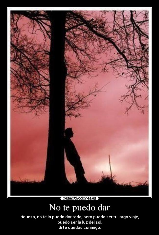 No te puedo dar -