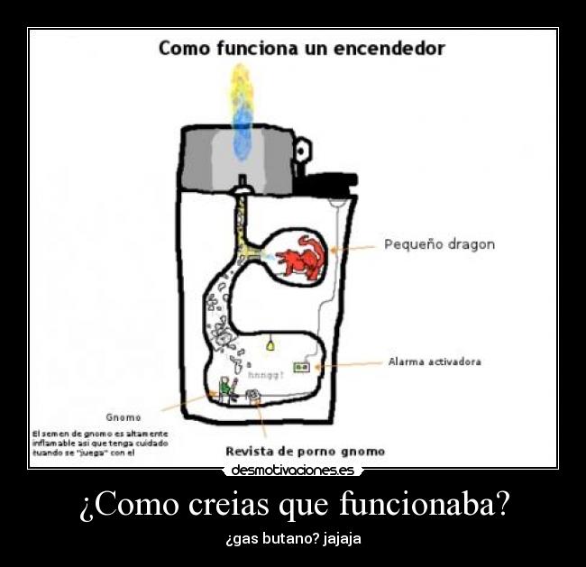 ¿Como creias que funcionaba? - 