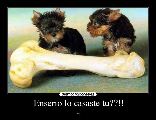 Enserio lo casaste tu??!! - ...