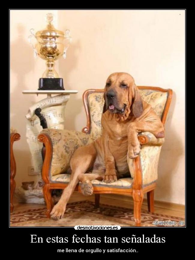 En estas fechas tan señaladas -