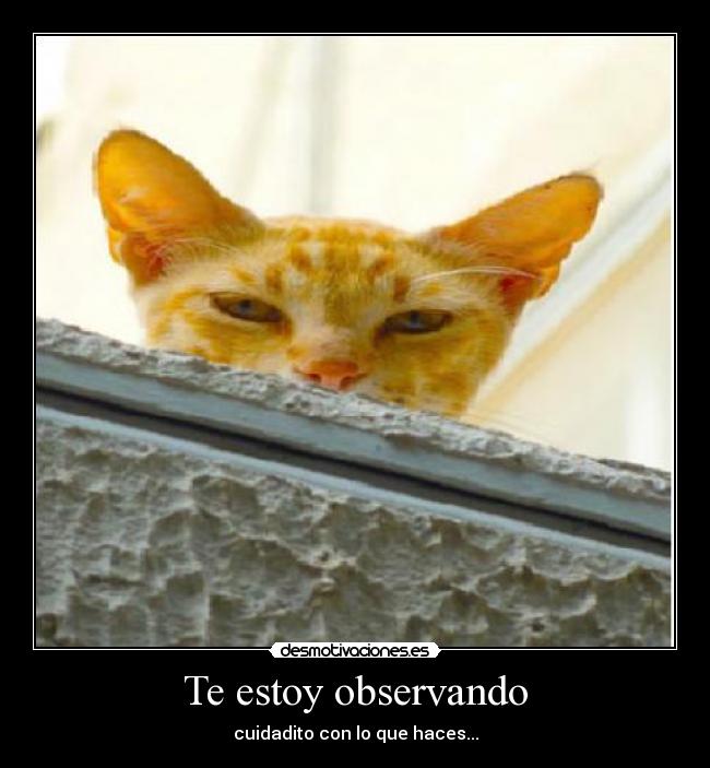 Te estoy observando - 