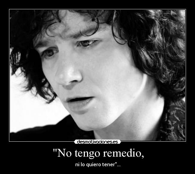 No tengo remedio, - ni lo quiero tener...