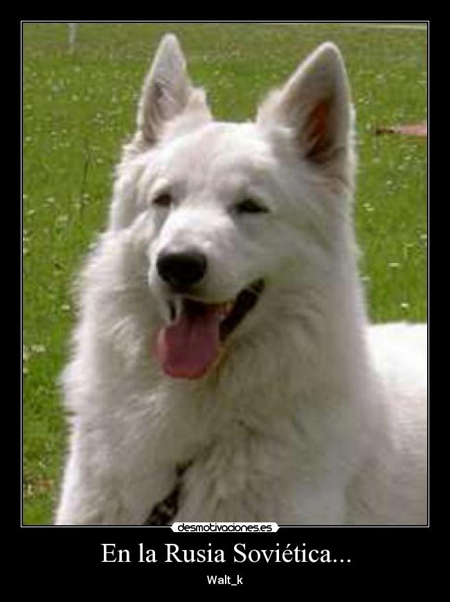En la Rusia Soviética... -