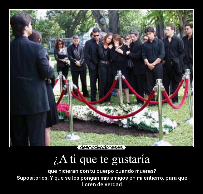 ¿A ti que te gustaría - 