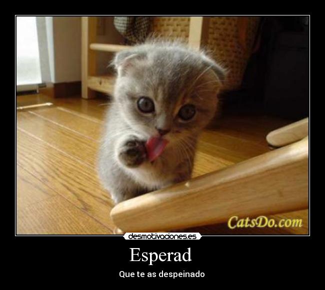 Esperad - Que te as despeinado