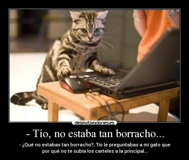 - Tío, no estaba tan borracho... -