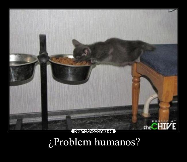 ¿Problem humanos? -