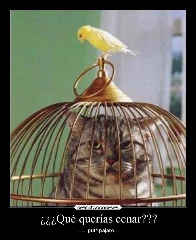 ¿¿¿Qué querías cenar??? - 