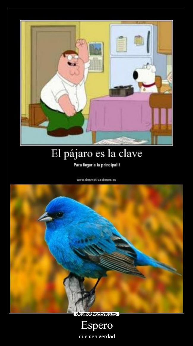 Espero - que sea verdad