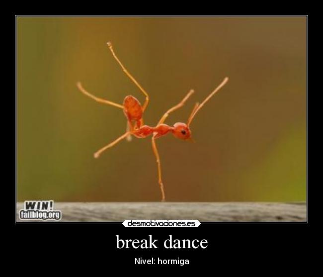 carteles break dance nivel hormiga desmotivaciones