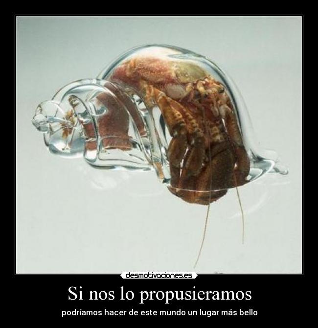 Si nos lo propusieramos -