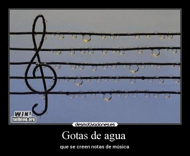 Gotas de agua  - 