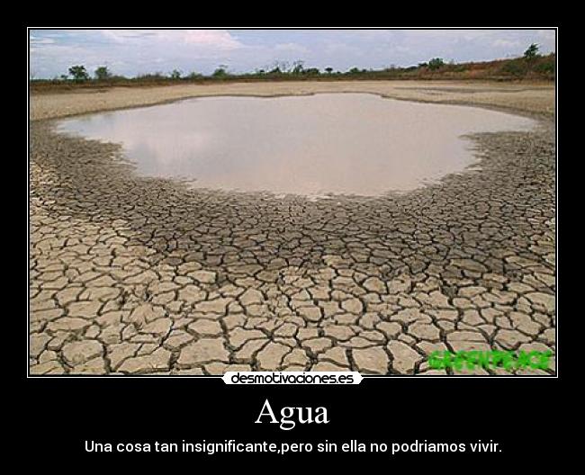 Agua - 