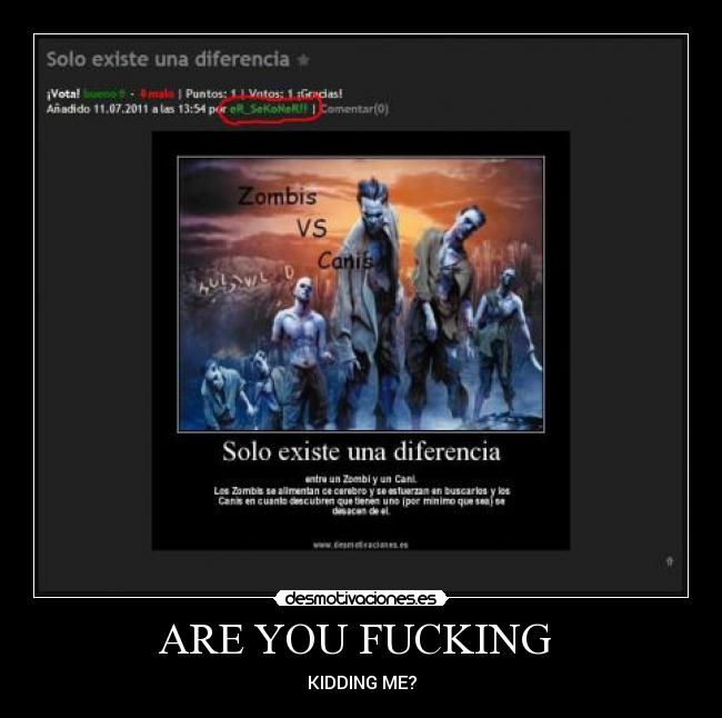 ARE YOU FUCKING - KIDDING ME?