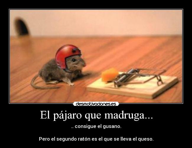 El pájaro que madruga... - 