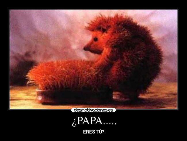 carteles erizo desmotivaciones