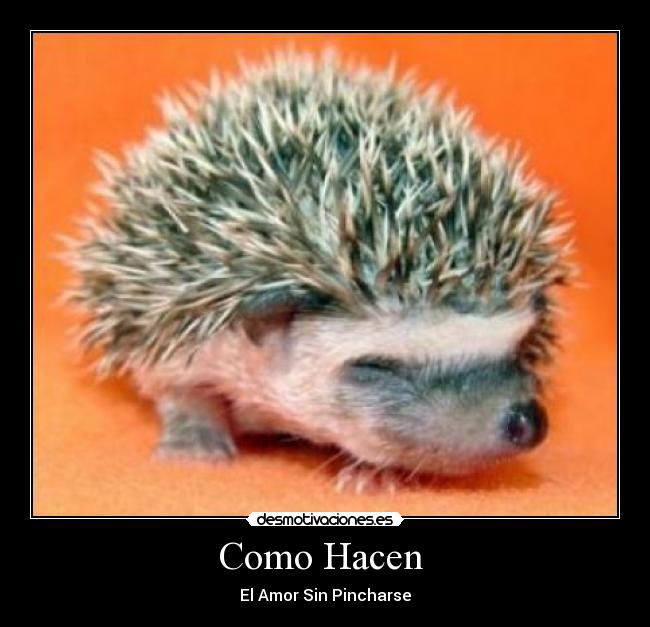 Como Hacen  - 