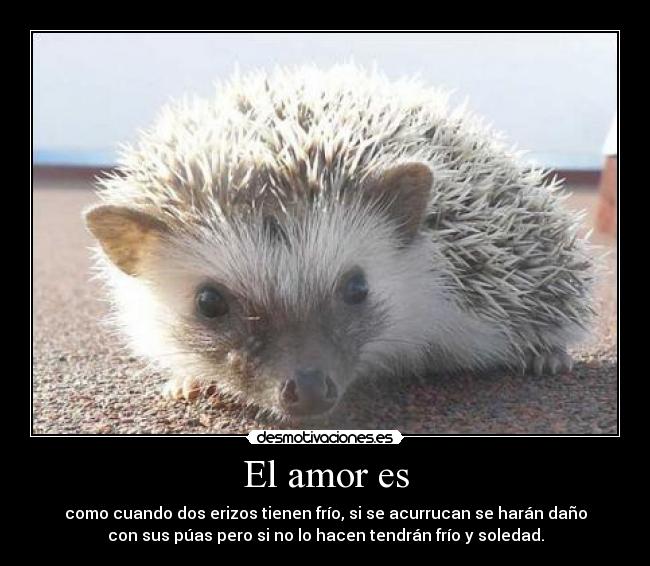 El amor es - 