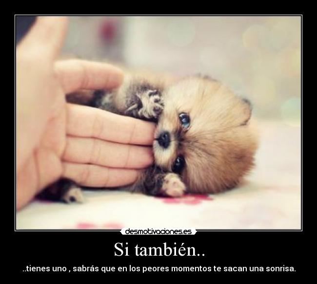 Si también.. - ..tienes uno , sabrás que en los peores momentos te sacan una sonrisa.