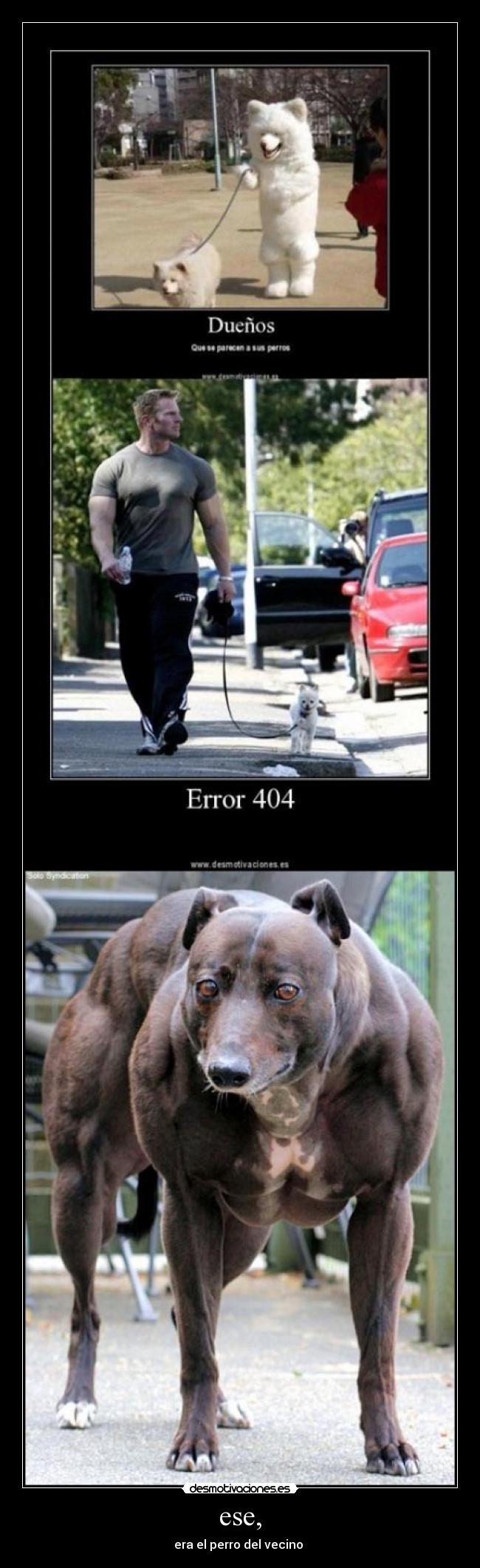 ese, - era el perro del vecino 