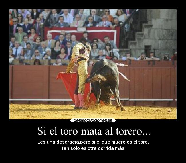 Si el toro mata al torero... - ...es una desgracia,pero si el que muere es el toro, 
tan solo es otra corrida más
