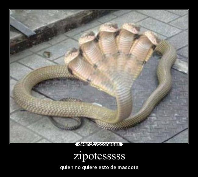 carteles osvaldo desmotivaciones