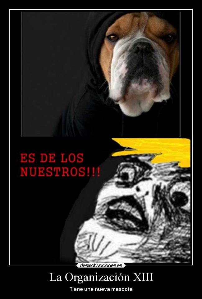 La Organización XIII - Tiene una nueva mascota