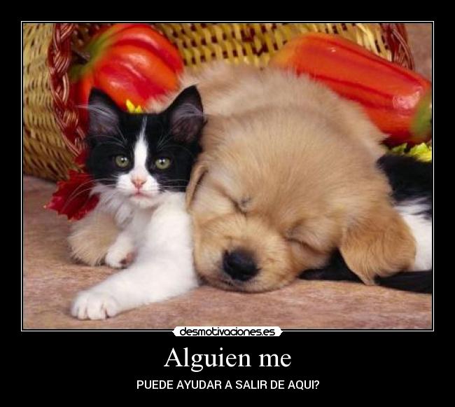 carteles alguien desmotivaciones