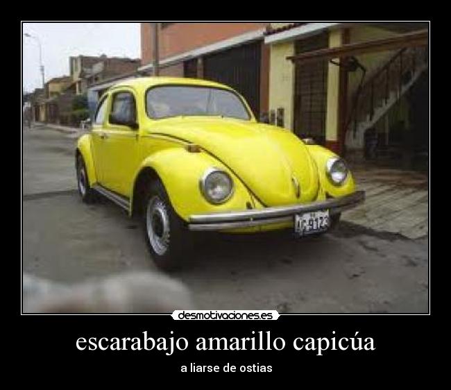 escarabajo amarillo capicúa - a liarse de ostias