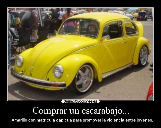Comprar un escarabajo... - 