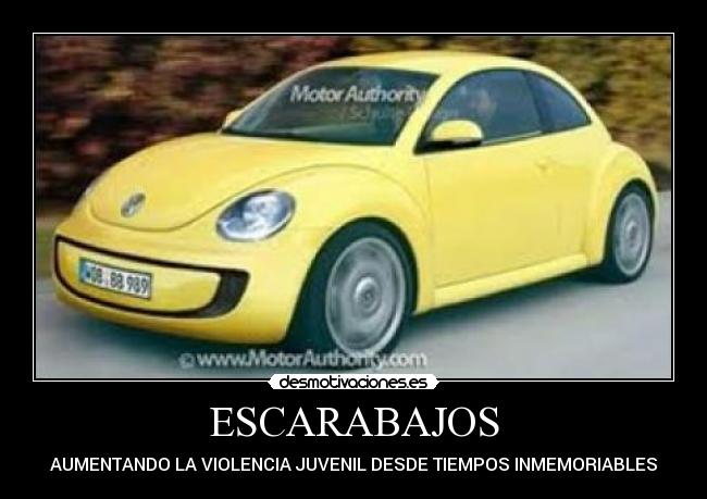 carteles madri desmotivaciones