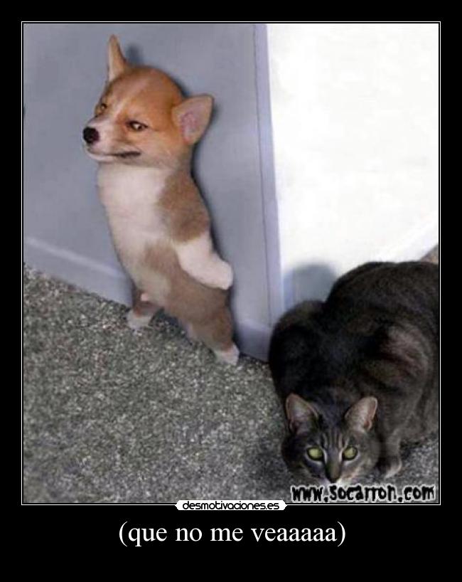 (que no me veaaaaa) -