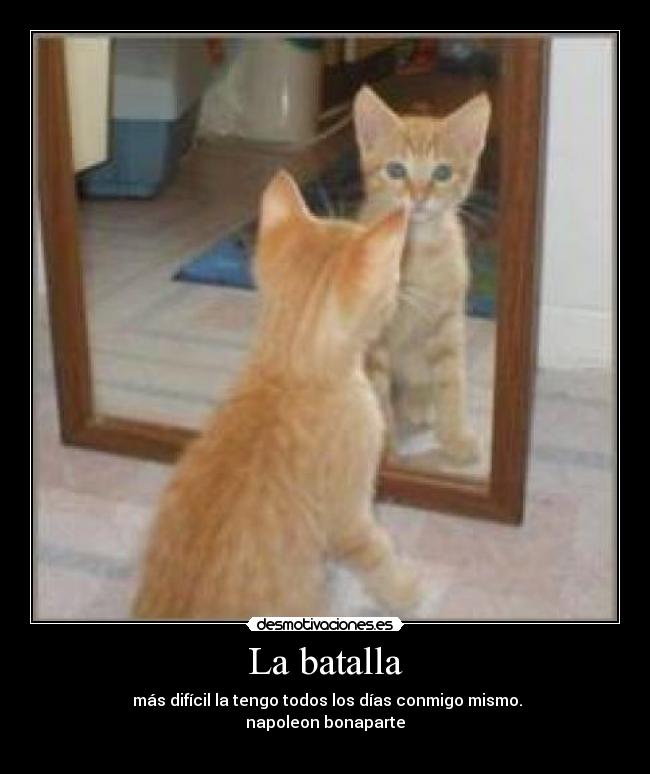 La batalla -  más difícil la tengo todos los días conmigo mismo.
napoleon bonaparte
