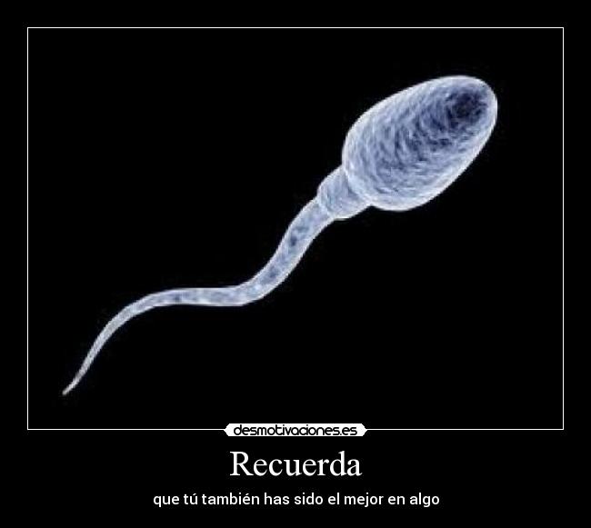 Recuerda - 