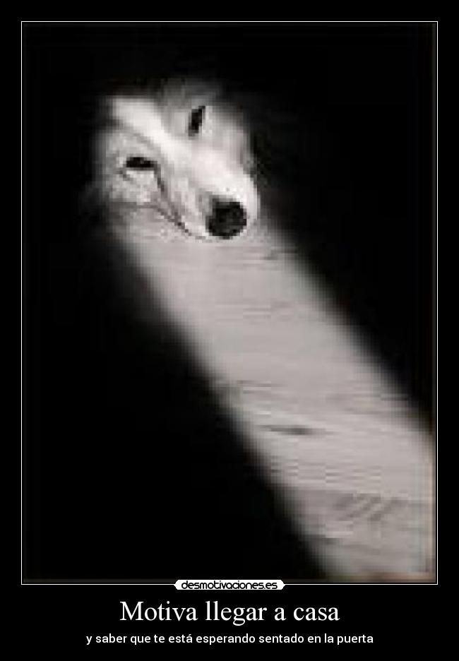 Motiva llegar a casa - 
